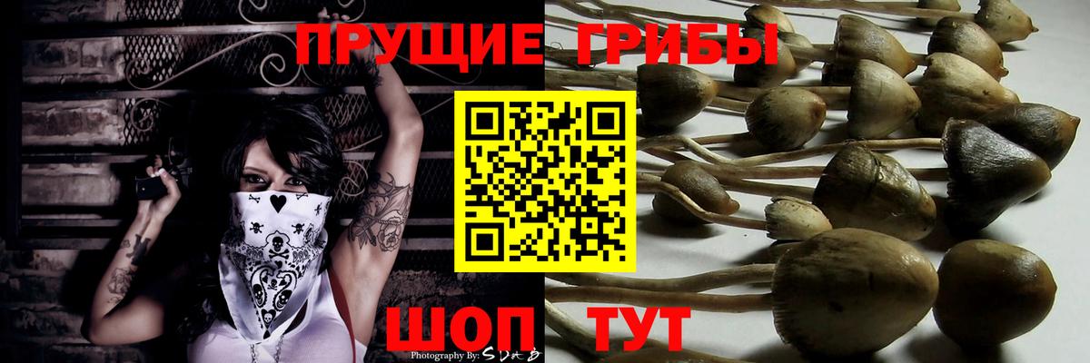 Галлюциногенные грибы MAGIC MUSHROOMS Урай